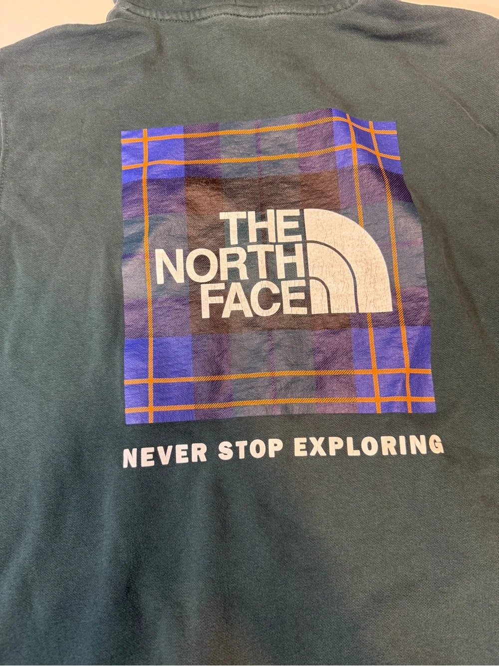 The North Face Men's Teal Green Pullover Hoodie‎
